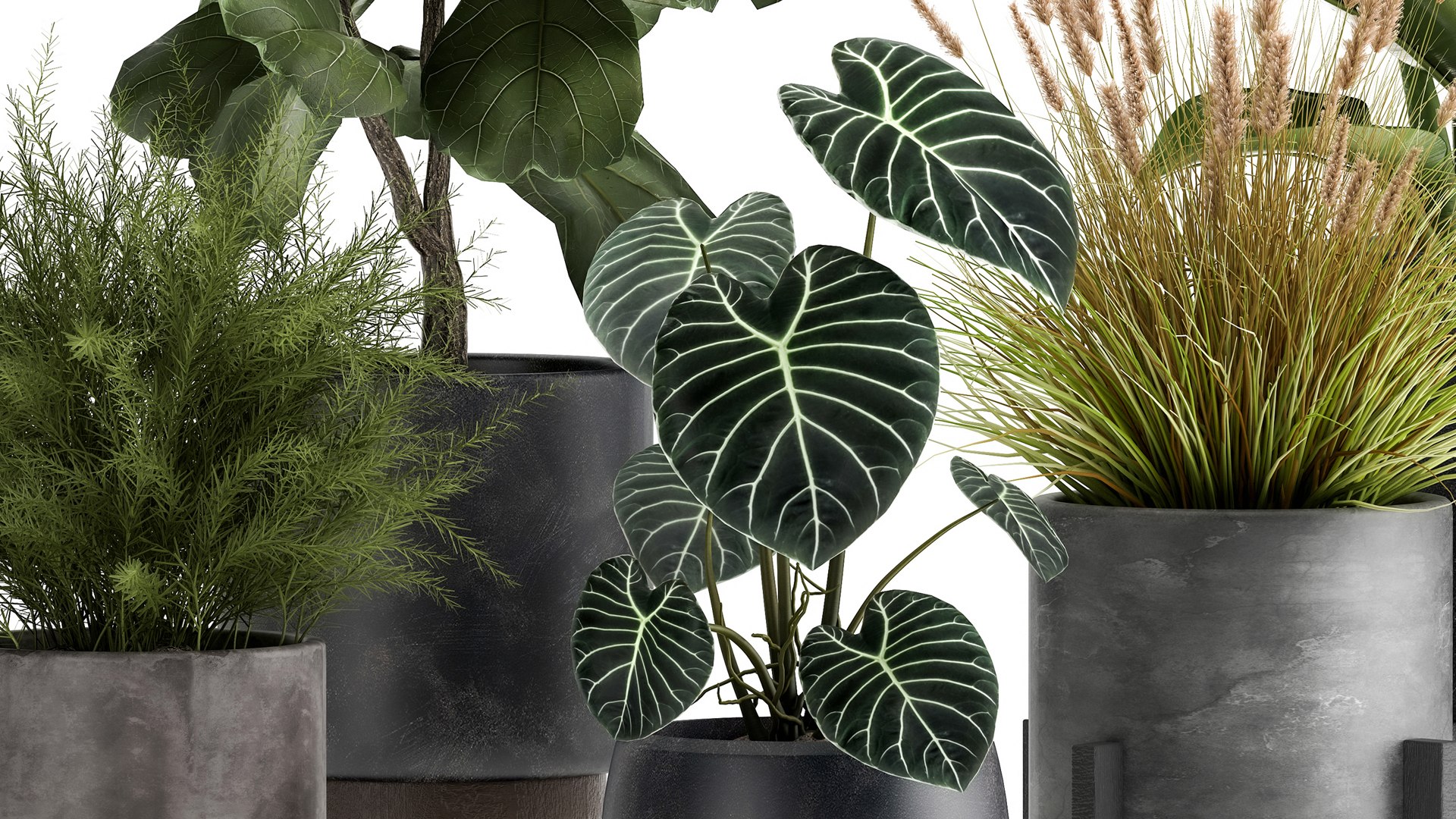 3D Houseplants in a rust flowerpot for the interior 998 https://p.turbosquid.com/ts-thumb/xH/4z0Jjg/gr/1plants1806202105/jpg/1624274111/1920x1080/fit_q87/b21abf81a775fb7ad3a08f2b150bac7d34d0c180/1plants1806202105.jpg