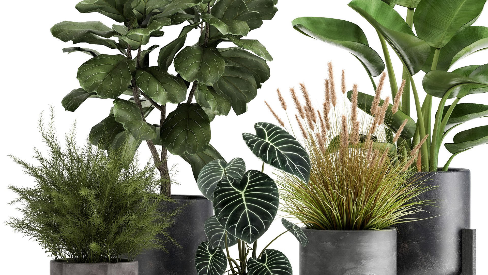 3D Houseplants in a rust flowerpot for the interior 998 https://p.turbosquid.com/ts-thumb/xH/4z0Jjg/l5/1plants1806202103/jpg/1624274110/1920x1080/fit_q87/f7ffc348ad52d27634b8da7e75b9fc1b78ea755b/1plants1806202103.jpg