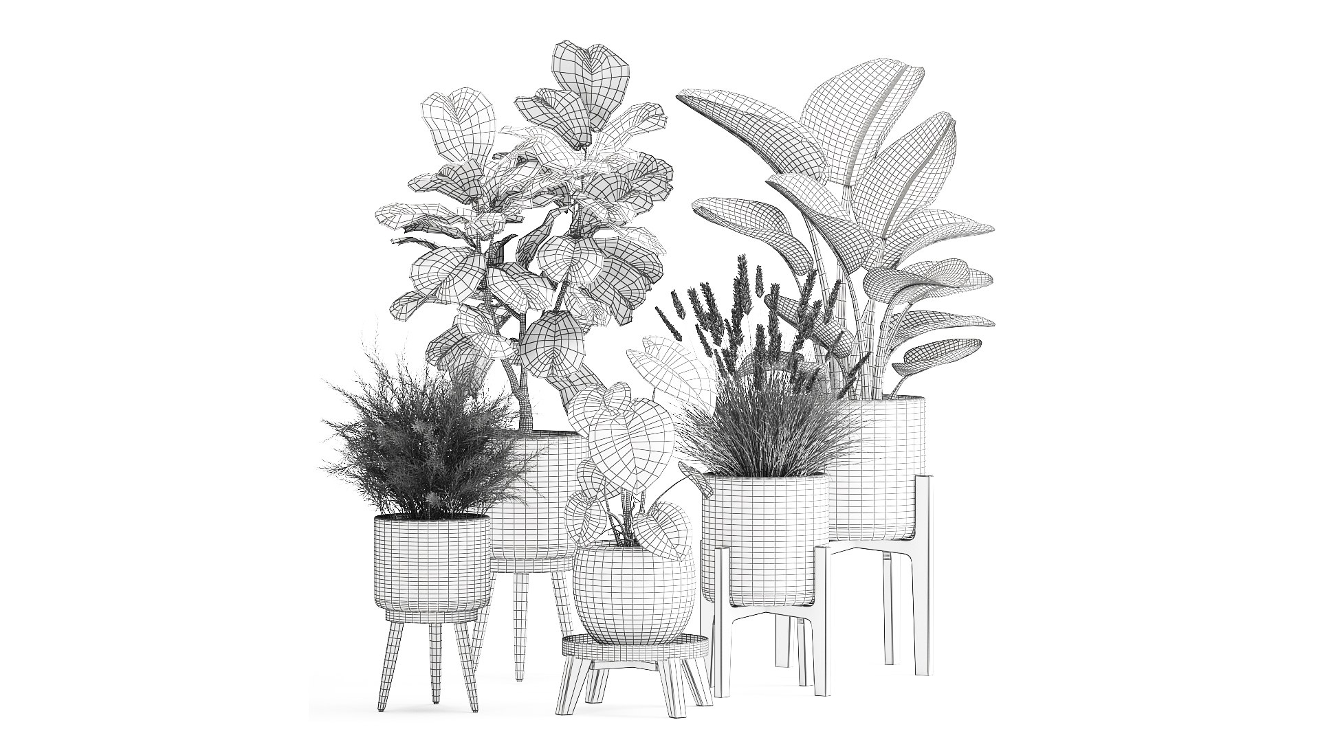 3D Houseplants in a rust flowerpot for the interior 998 https://p.turbosquid.com/ts-thumb/xH/4z0Jjg/oX/1plants1806202109/jpg/1624274103/1920x1080/fit_q87/aadc0985ba279b7041290ee279abef822fc27041/1plants1806202109.jpg
