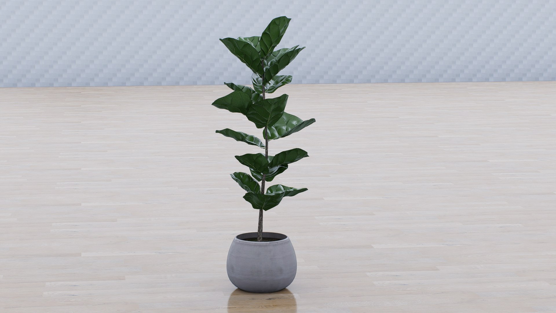 Fiddle Leaf Fig 3D https://p.turbosquid.com/ts-thumb/xH/LTNoAq/94/5/jpg/1765455158/1920x1080/fit_q87/277d3a686622db9872cd1f85a7a3821d4d9d8d06/5.jpg