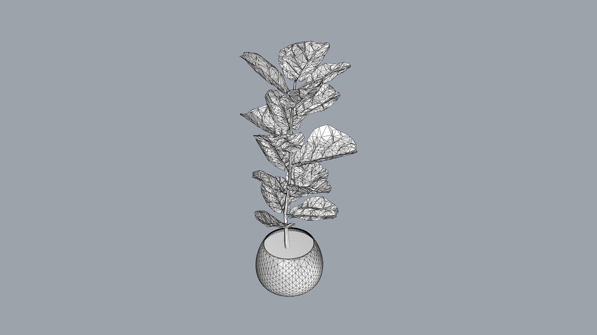 Fiddle Leaf Fig 3D https://p.turbosquid.com/ts-thumb/xH/LTNoAq/f0/9wire/jpg/1765455166/1920x1080/fit_q87/fafd7a4c2befb737e39e86a50170fa36fa0927c9/9wire.jpg