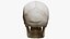 3D Human Skull Explode Anatomy Atlas model