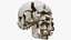 3D Human Skull Explode Anatomy Atlas model