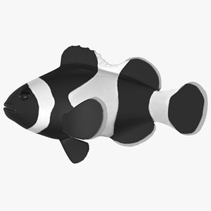 3D model black clownfish