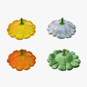 Scallop squash 3D