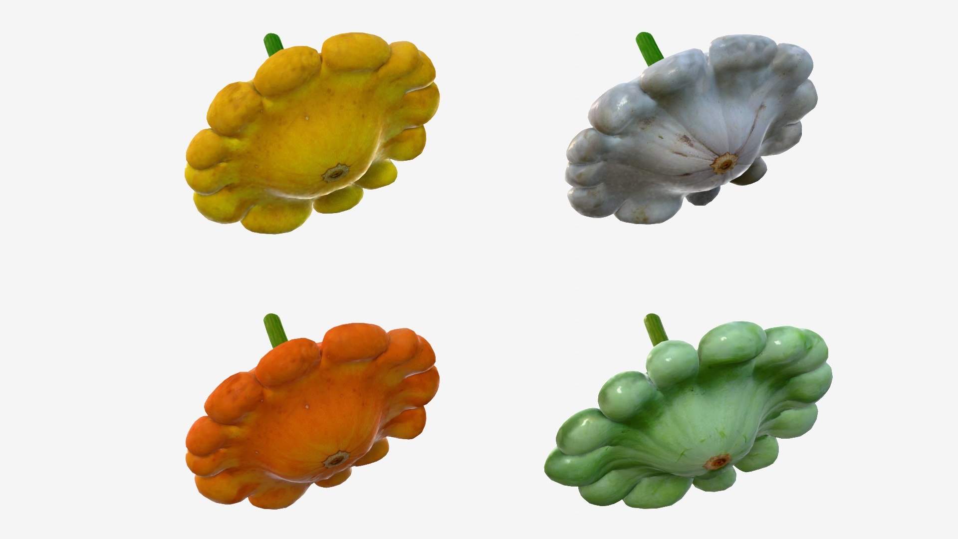Scallop squash 3D https://p.turbosquid.com/ts-thumb/xH/uT1jma/2O/img9/jpg/1726712561/1920x1080/fit_q87/a7263871ced185ad1171b0e25e7250b6d6b518d5/img9.jpg