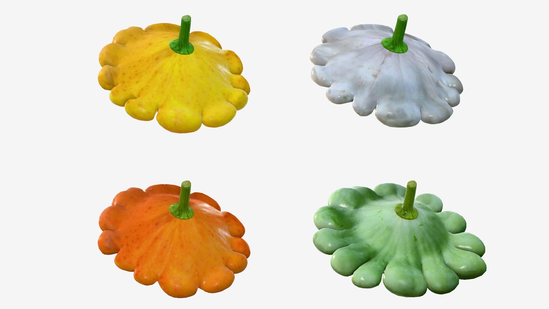 Scallop squash 3D https://p.turbosquid.com/ts-thumb/xH/uT1jma/5d/img20/jpg/1726712566/1920x1080/fit_q87/8722bd7b3194cf8f6e772f1fe6c35916d7095e15/img20.jpg