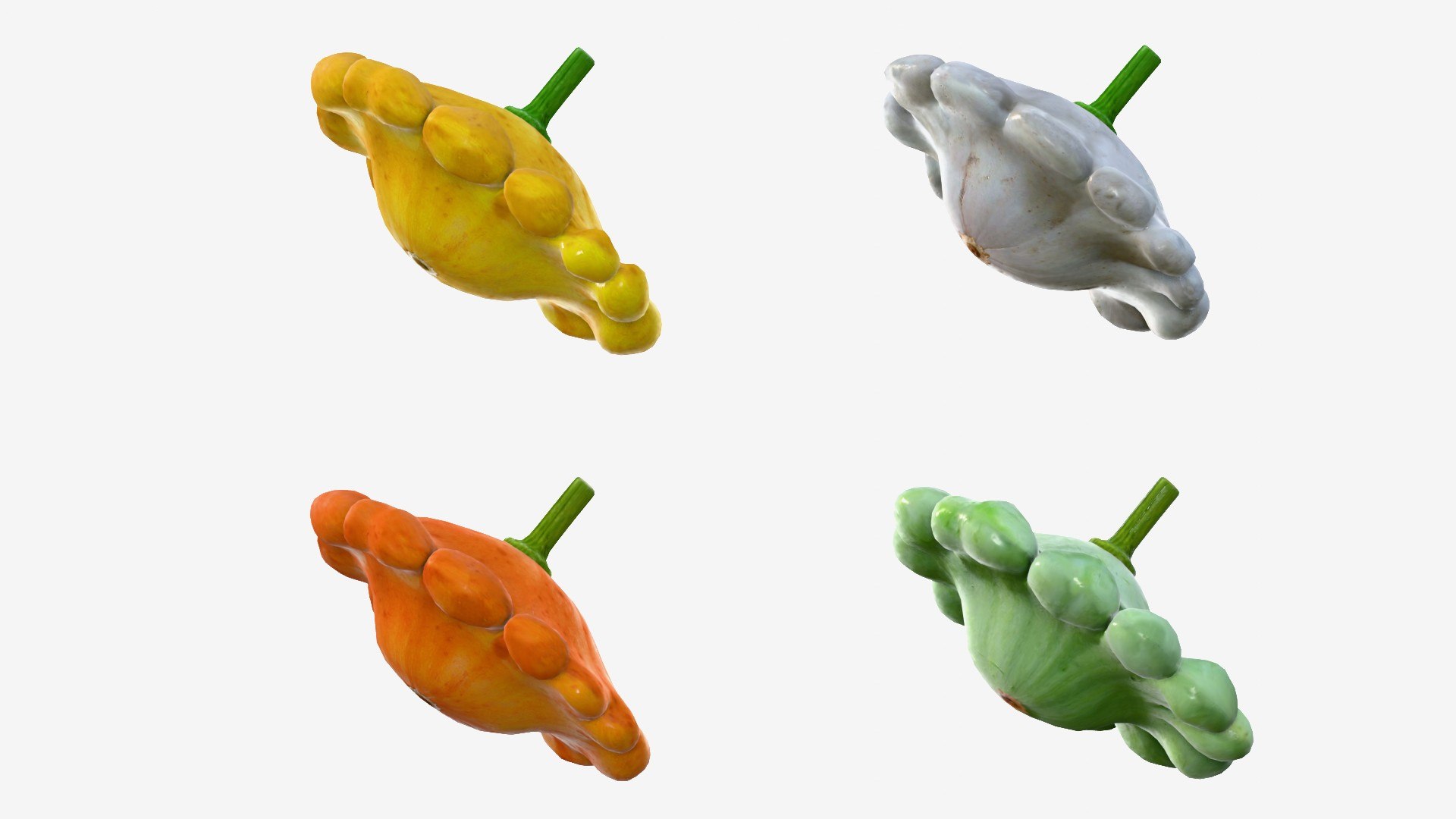 Scallop squash 3D https://p.turbosquid.com/ts-thumb/xH/uT1jma/64/img15/jpg/1726712564/1920x1080/fit_q87/0544faa130486cac81ad13ab812069db32048da3/img15.jpg