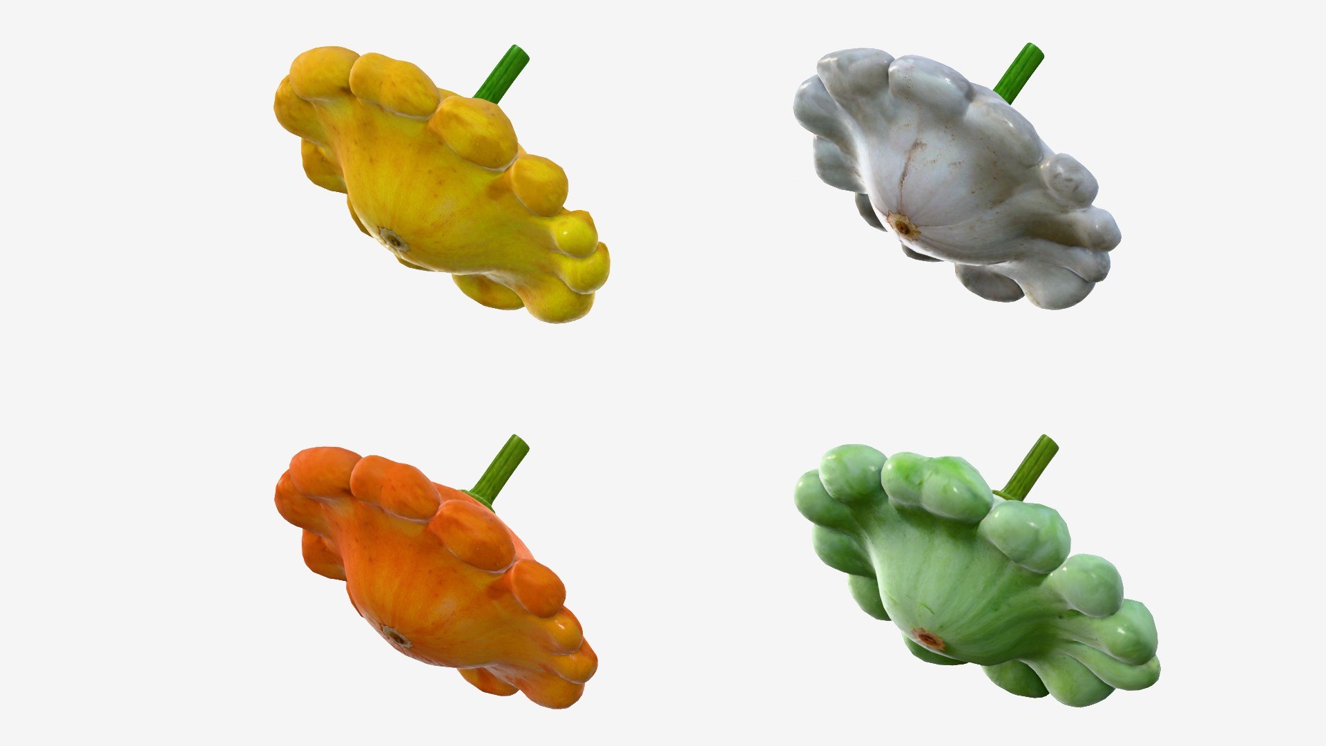 Scallop squash 3D https://p.turbosquid.com/ts-thumb/xH/uT1jma/9q/img14/jpg/1726712563/1920x1080/fit_q87/a14199fb6158f8d90afb526978defc5b8d0c7964/img14.jpg