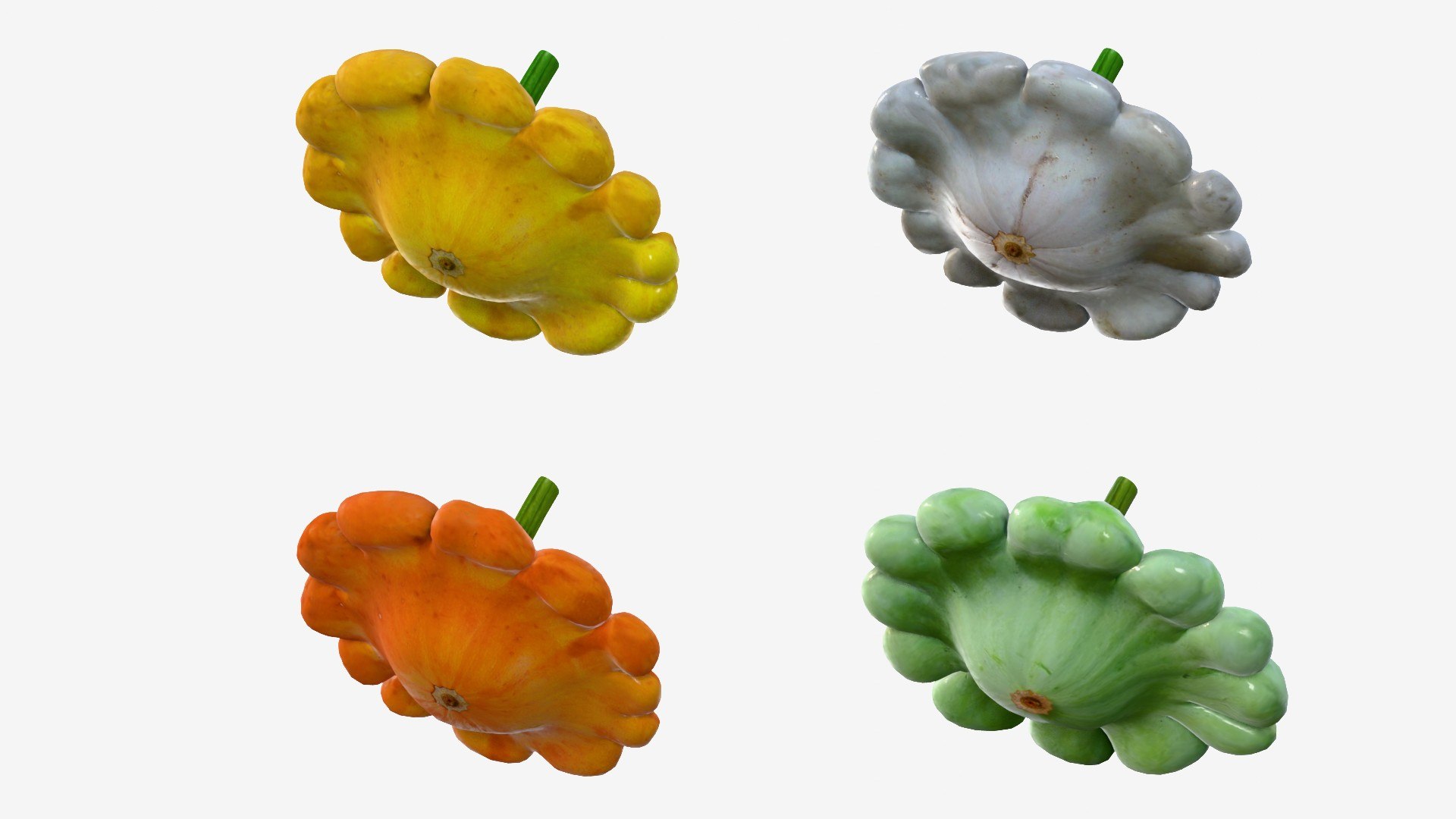Scallop squash 3D https://p.turbosquid.com/ts-thumb/xH/uT1jma/Ed/img13/jpg/1726712563/1920x1080/fit_q87/be76c40442c19c56bd6962005419a3b06212b8ce/img13.jpg