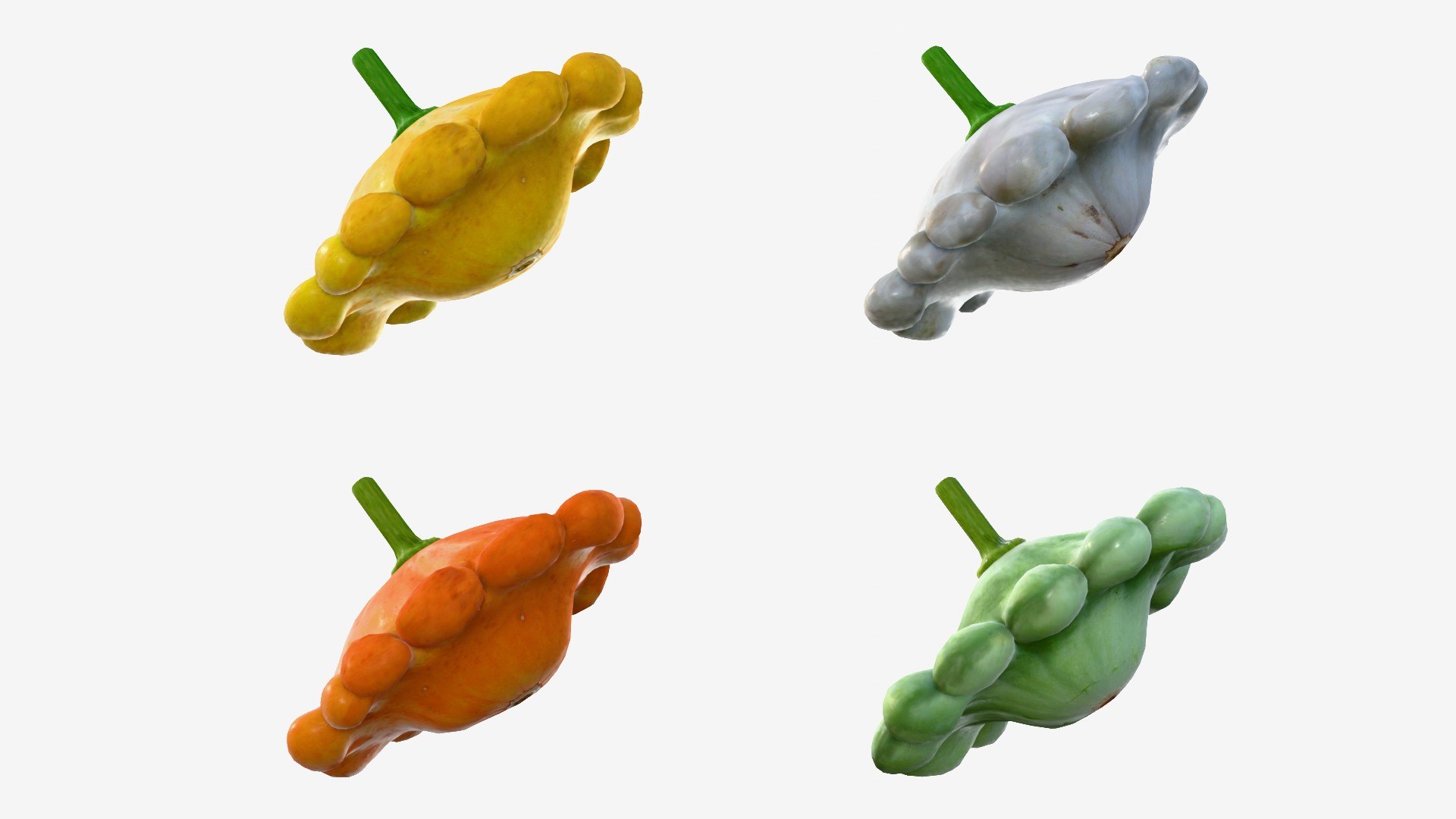 Scallop squash 3D https://p.turbosquid.com/ts-thumb/xH/uT1jma/FK/img7/jpg/1726712560/1920x1080/fit_q87/c645f67e59b75bcefb65e34794fc6b453d00635c/img7.jpg