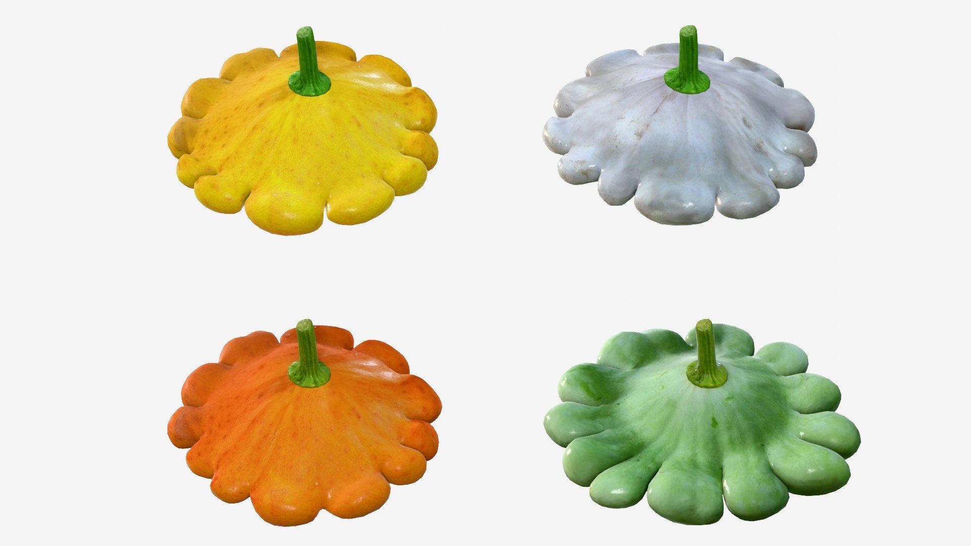 Scallop squash 3D https://p.turbosquid.com/ts-thumb/xH/uT1jma/Mf/img1/jpg/1726712558/1920x1080/fit_q87/b10da6817917821ef3a5ced8e5d6a14f38847ef4/img1.jpg