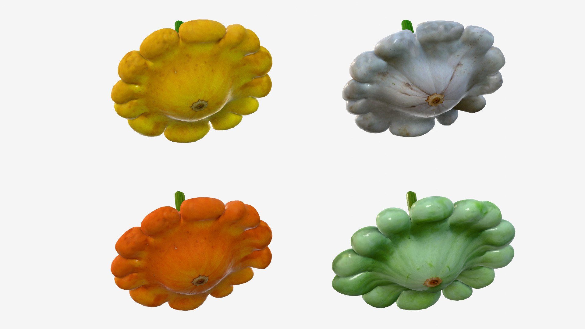 Scallop squash 3D https://p.turbosquid.com/ts-thumb/xH/uT1jma/Sq/img10/jpg/1726712562/1920x1080/fit_q87/0d994d989a8ae1da4e8b545baccc2eedbadc7ebb/img10.jpg