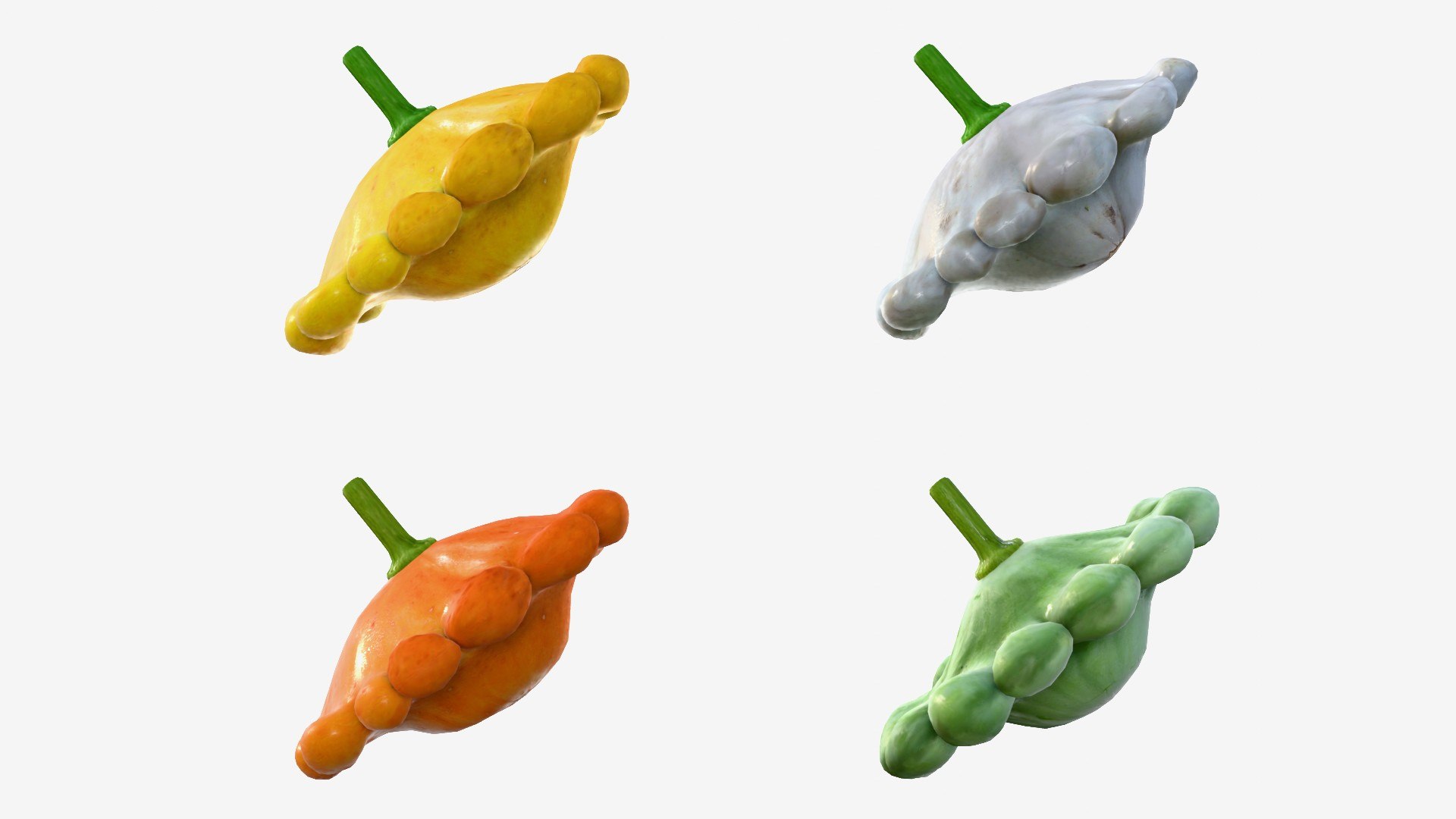 Scallop squash 3D https://p.turbosquid.com/ts-thumb/xH/uT1jma/o2/img6/jpg/1726712559/1920x1080/fit_q87/9c1d360fe360f9298b46f72e152538b71801cf16/img6.jpg