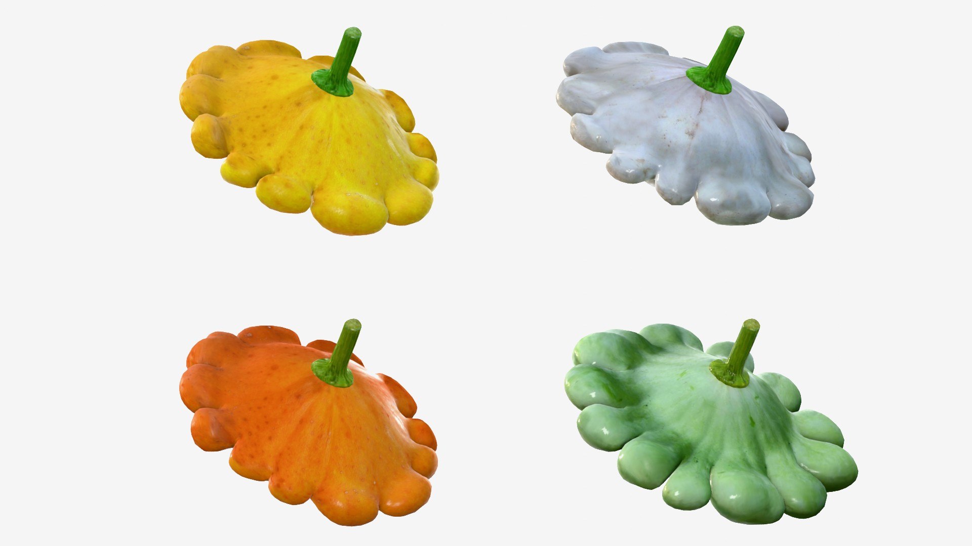 Scallop squash 3D https://p.turbosquid.com/ts-thumb/xH/uT1jma/oF/img19/jpg/1726712566/1920x1080/fit_q87/493b945515e0bb68f88497ce4a6e32256b7627c8/img19.jpg