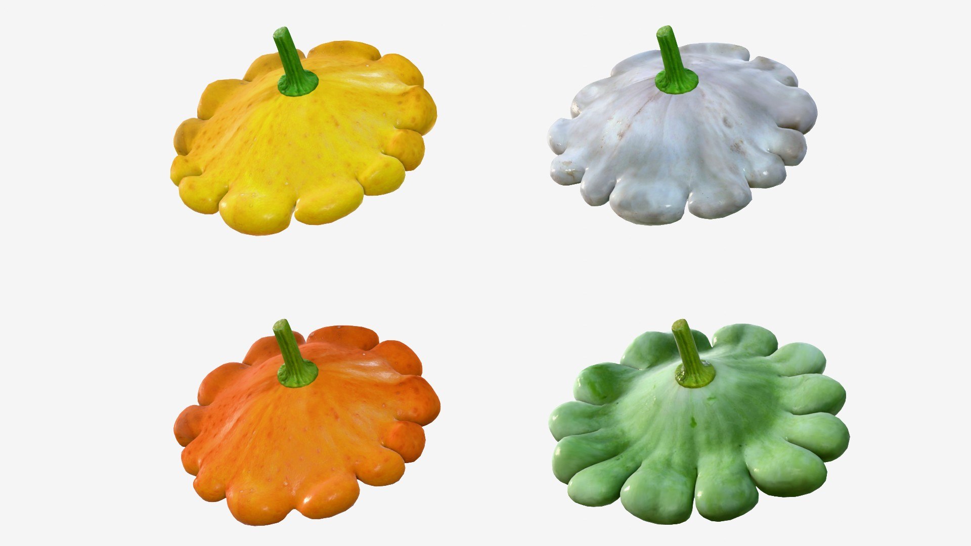 Scallop squash 3D https://p.turbosquid.com/ts-thumb/xH/uT1jma/um/img2/jpg/1726712558/1920x1080/fit_q87/fe916e61762c14eb79ebd9b29ba0f134eee78824/img2.jpg