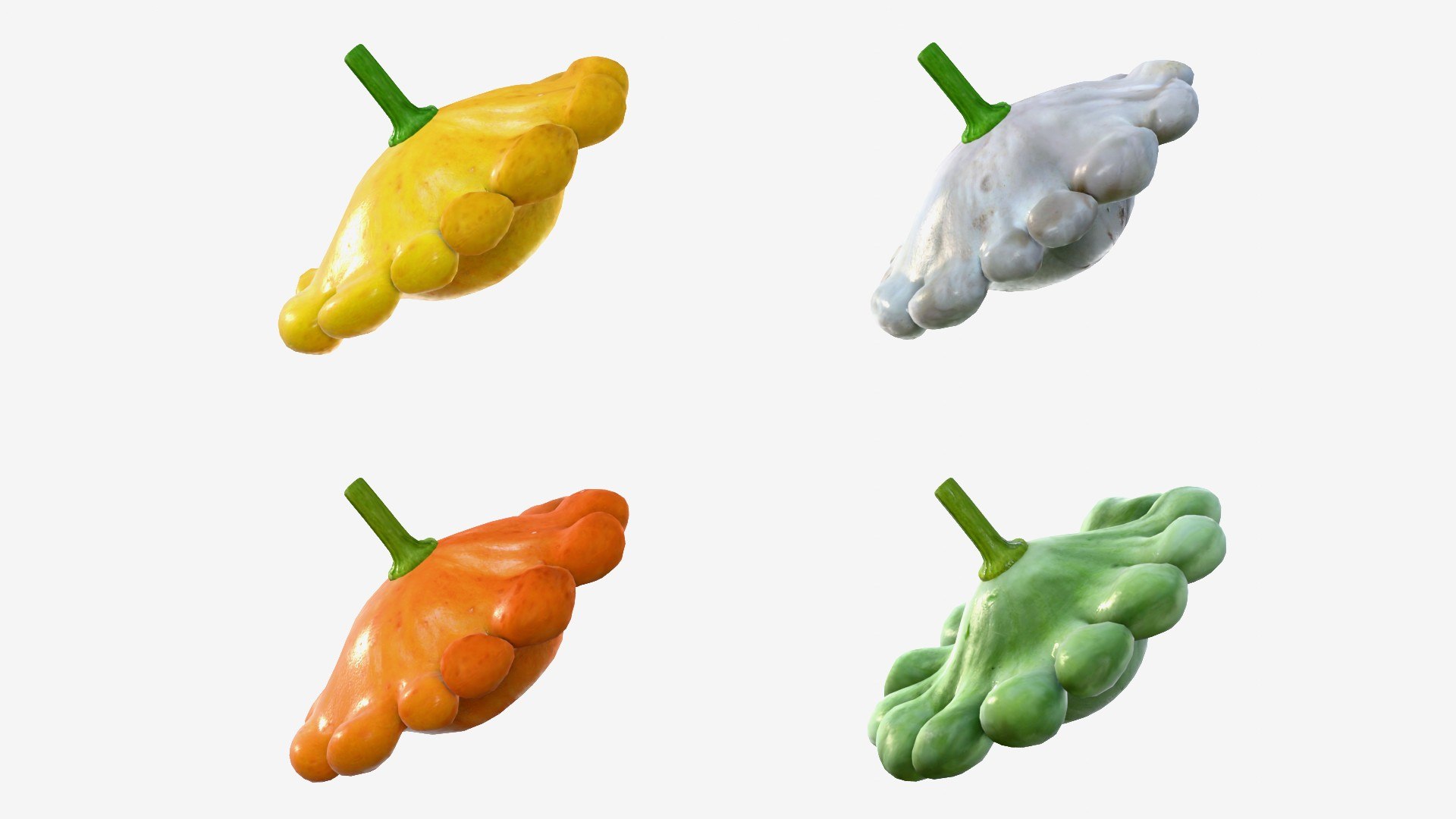 Scallop squash 3D https://p.turbosquid.com/ts-thumb/xH/uT1jma/v4/img5/jpg/1726712559/1920x1080/fit_q87/c6a9547fd4b415b8cb7f5c0a706cd9ddd55fb5b4/img5.jpg