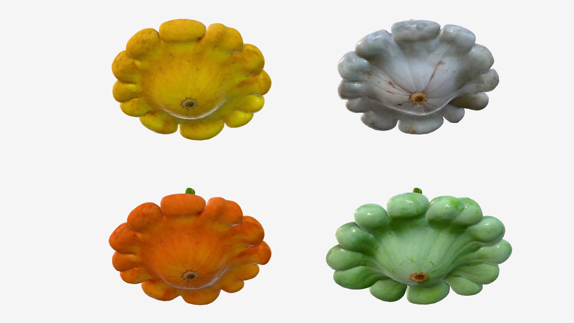 Scallop squash 3D https://p.turbosquid.com/ts-thumb/xH/uT1jma/zt/img11/jpg/1726712562/1920x1080/fit_q87/880a32221d581e8f8a0f67b350fcf712ef33a846/img11.jpg