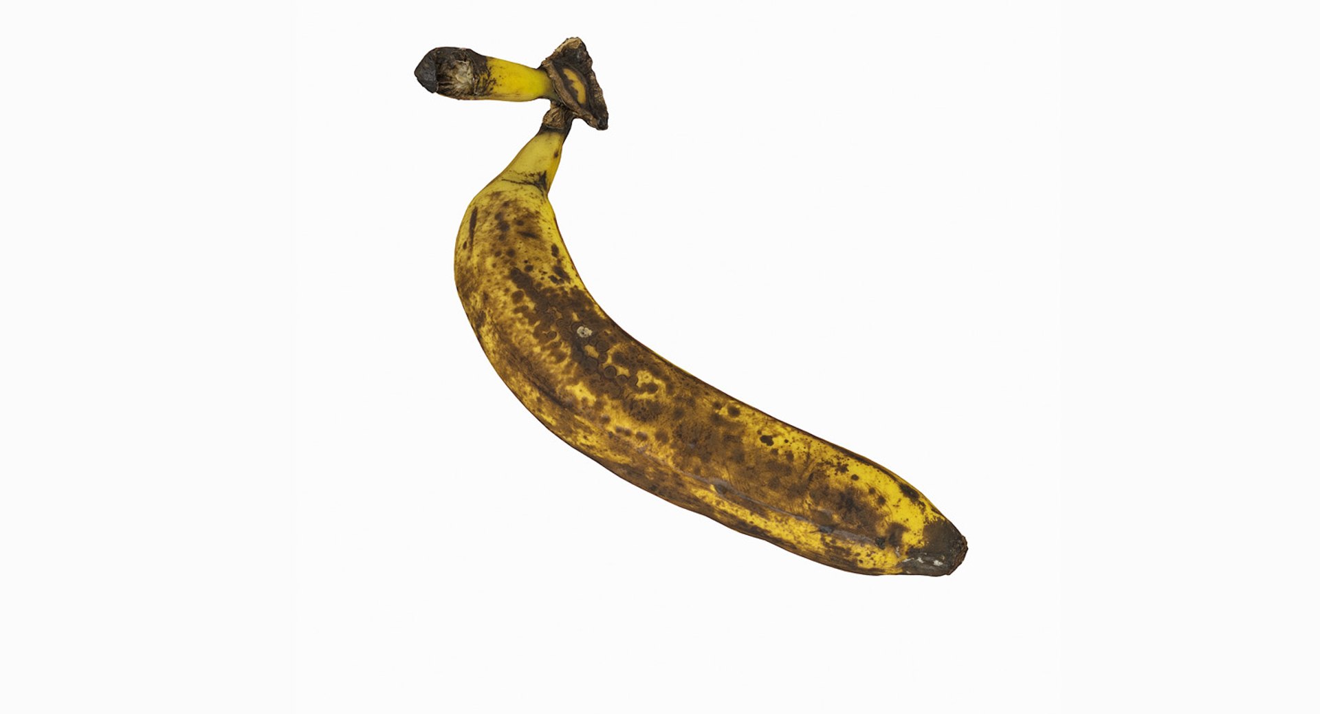 3D realistic https://p.turbosquid.com/ts-thumb/xI/3QhjzS/89c6ALpa/oldrottenbananafix__0027_oldrottenbanana_29.jpg/jpg/1549804679/1920x1080/fit_q87/2815fc2517e76b1c3b177467803133f297e062bd/oldrottenbananafix__0027_oldrottenbanana_29.jpg.jpg