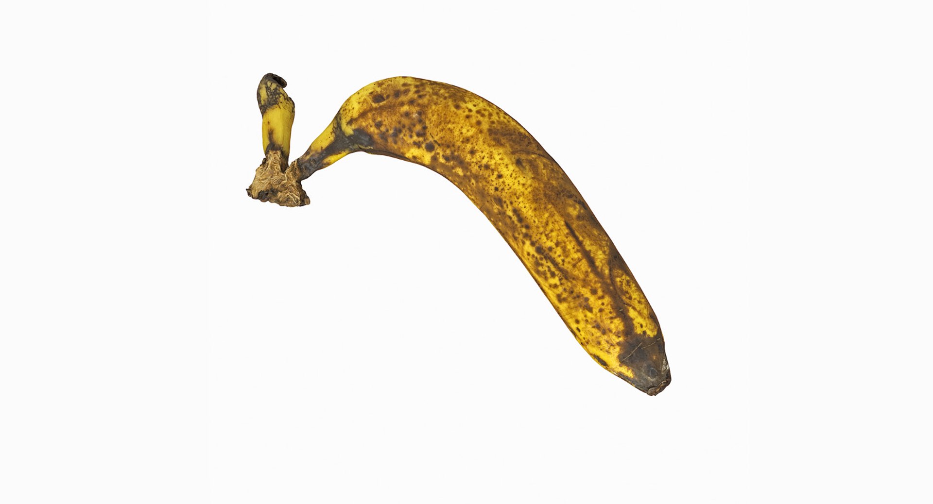 3D realistic https://p.turbosquid.com/ts-thumb/xI/3QhjzS/msPPSsRK/oldrottenbananafix__0016_oldrottenbanana_18.jpg/jpg/1549804679/1920x1080/fit_q87/db948d1a882b67bea69a0c84ce62e09f0dfb3277/oldrottenbananafix__0016_oldrottenbanana_18.jpg.jpg