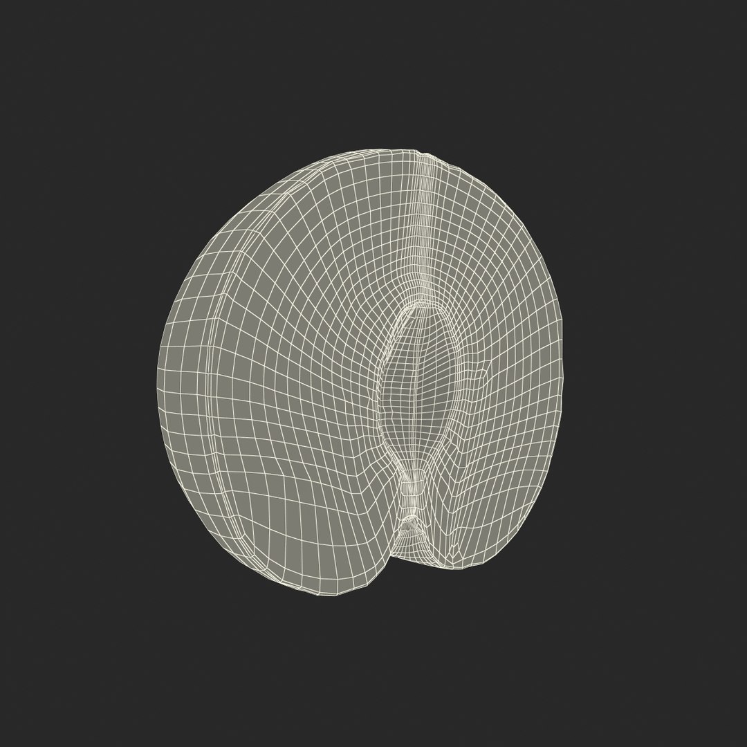 plum half 3 modeled 3d c4d https://p.turbosquid.com/ts-thumb/xI/EQ3lOt/1r3tWEbe/3dsmodelofplumcrosssection22/jpg/1435691237/1920x1080/fit_q87/fd1fa05a4e5403ce67ba80d5a7121b156547f681/3dsmodelofplumcrosssection22.jpg