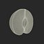 Plum Half 3 3D Model