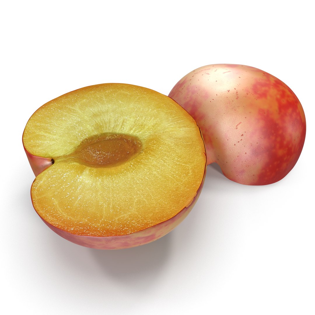 Plum Half 3 3D Model 3D model preview