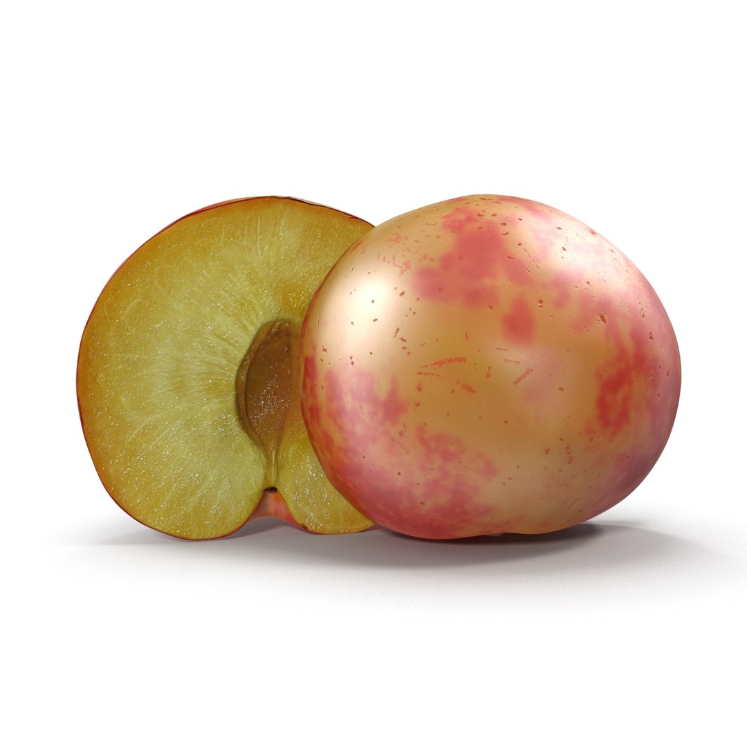 plum half 3 modeled 3d c4d https://p.turbosquid.com/ts-thumb/xI/EQ3lOt/K4ZssH56/3dsmodelofplumcrosssection04/jpg/1435691236/1920x1080/fit_q87/59546e00a9aac34b7e4e1f20261ba51619b7ef0a/3dsmodelofplumcrosssection04.jpg