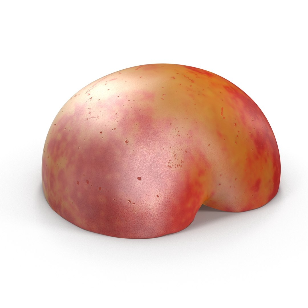 plum half 3 modeled 3d c4d https://p.turbosquid.com/ts-thumb/xI/EQ3lOt/XDQaEFYO/3dsmodelofplumcrosssection11/jpg/1435691237/1920x1080/fit_q87/b8e21387b55e56b96c740ec1aa9d88fa49cbec40/3dsmodelofplumcrosssection11.jpg