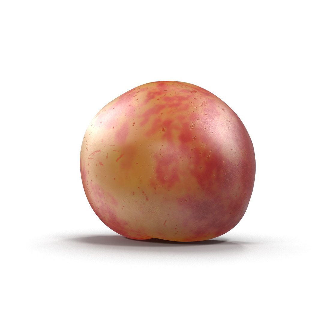 plum half 3 modeled 3d c4d https://p.turbosquid.com/ts-thumb/xI/EQ3lOt/YjdZ066M/3dsmodelofplumcrosssection14/jpg/1435691237/1920x1080/fit_q87/71d1b271e64f92908149eb5f018882811dd7ec2c/3dsmodelofplumcrosssection14.jpg