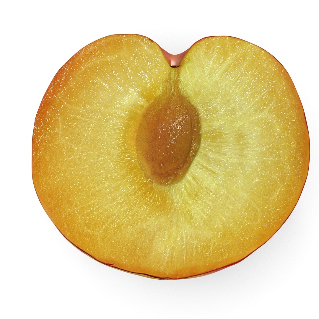 plum half 3 modeled 3d c4d https://p.turbosquid.com/ts-thumb/xI/EQ3lOt/a5sUJOih/3dsmodelofplumcrosssection08/jpg/1435691236/1920x1080/fit_q87/d8940772e91ed427ee4568cf65e6eacb7854bdfa/3dsmodelofplumcrosssection08.jpg