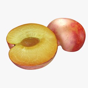 plum half 3 modeled 3d c4d