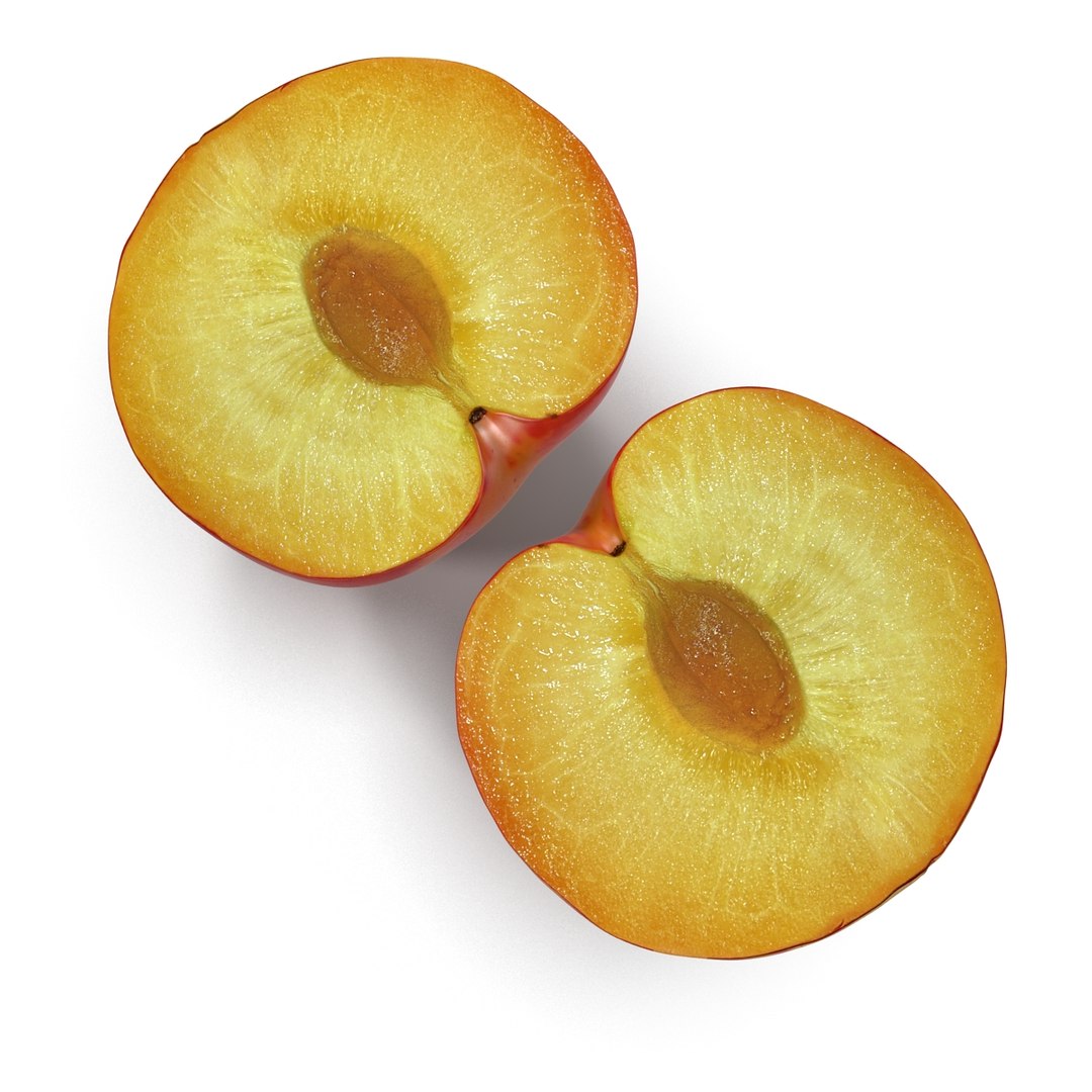 plum half 3 modeled 3d c4d https://p.turbosquid.com/ts-thumb/xI/EQ3lOt/jl45onBq/3dsmodelofplumcrosssection06/jpg/1435691236/1920x1080/fit_q87/a251f80cfcf795835e1f10124e9a4b7cde8c5d5a/3dsmodelofplumcrosssection06.jpg