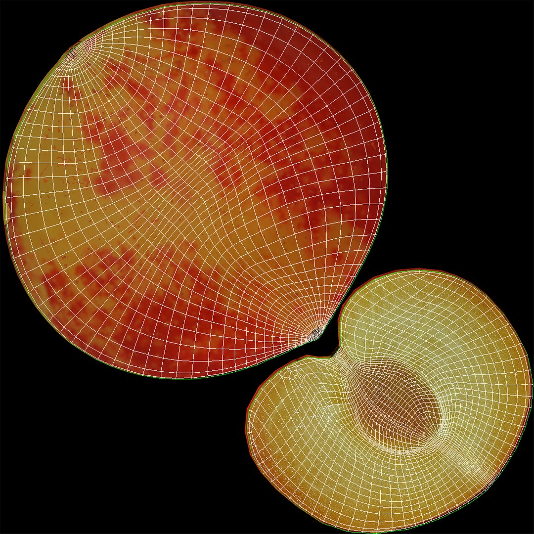 plum half 3 modeled 3d c4d https://p.turbosquid.com/ts-thumb/xI/EQ3lOt/k5iwAwcc/3dsmodelofplumcrosssection17/jpg/1435691237/1920x1080/fit_q87/96ea81fee30c167d54932adc8122bc4ae78a51ce/3dsmodelofplumcrosssection17.jpg