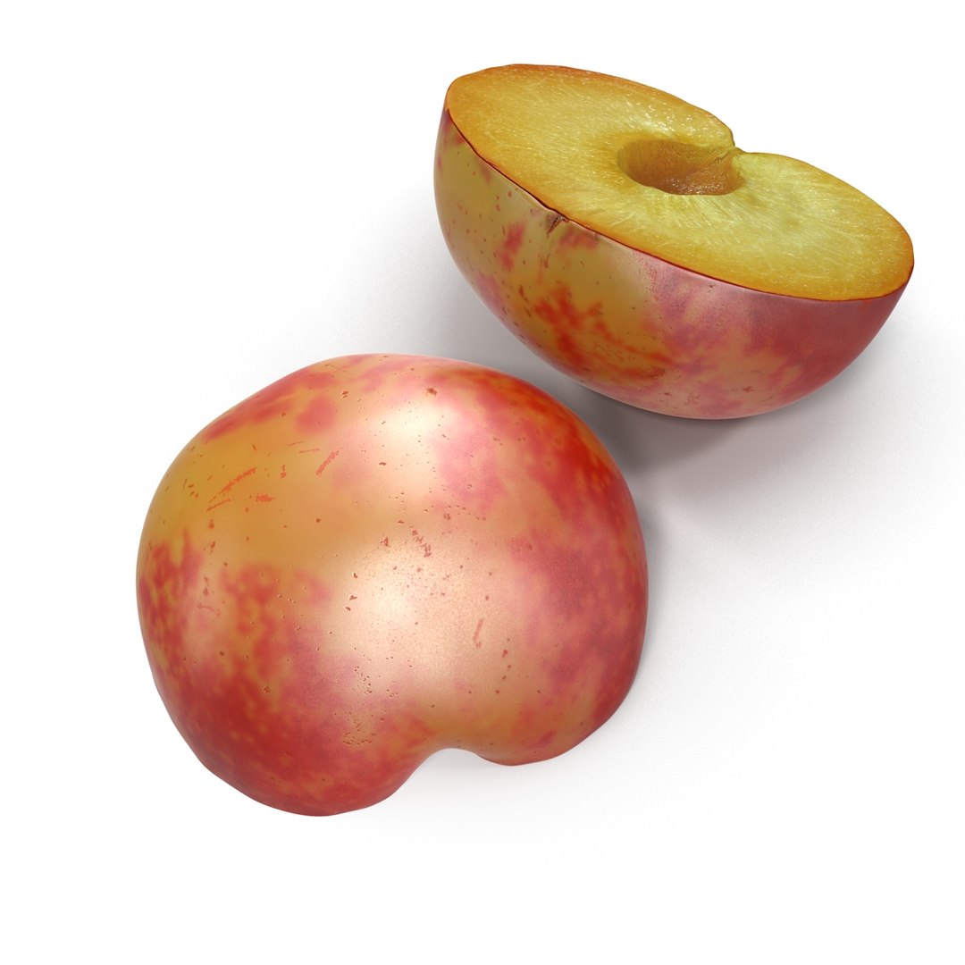 plum half 3 modeled 3d c4d https://p.turbosquid.com/ts-thumb/xI/EQ3lOt/o466wzOC/3dsmodelofplumcrosssection03/jpg/1435691236/1920x1080/fit_q87/3c31c336b5844ebb6999f72af87e03b5129f0ef7/3dsmodelofplumcrosssection03.jpg