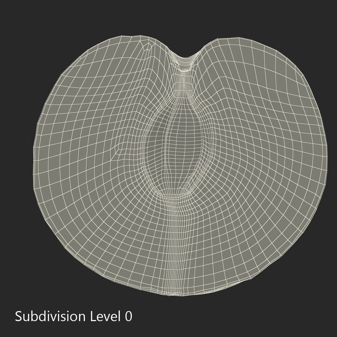 plum half 3 modeled 3d c4d https://p.turbosquid.com/ts-thumb/xI/EQ3lOt/wb66dYuH/3dsmodelofplumcrosssection15/jpg/1435691237/1920x1080/fit_q87/3a94ffd007a6c0b80f1bda5be16d3ee32d88bf3f/3dsmodelofplumcrosssection15.jpg