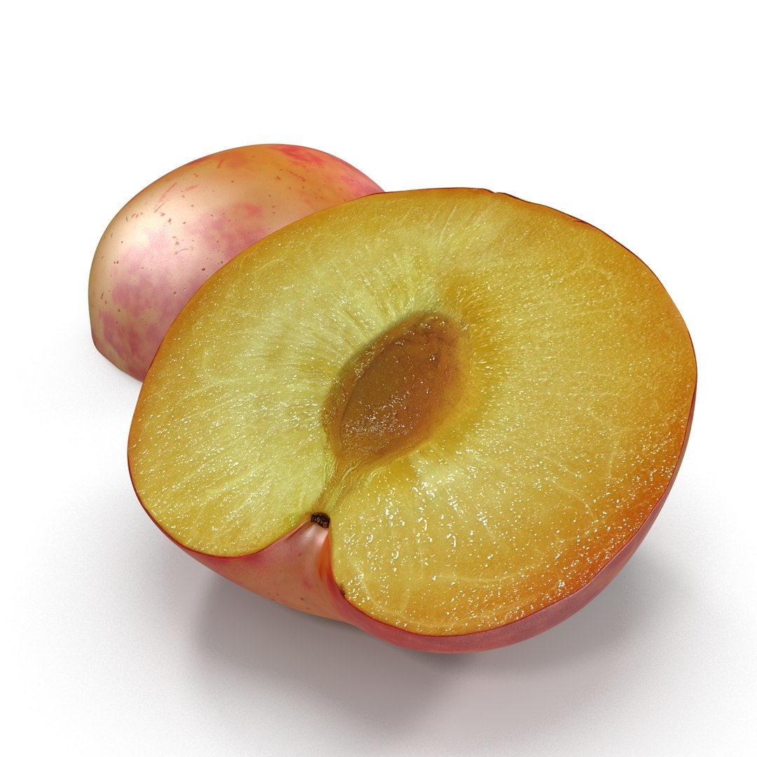 plum half 3 modeled 3d c4d https://p.turbosquid.com/ts-thumb/xI/EQ3lOt/wdN2G85b/3dsmodelofplumcrosssection02/jpg/1435691236/1920x1080/fit_q87/b8d612d695ae58ab637423216e9ae0f99283e1c8/3dsmodelofplumcrosssection02.jpg