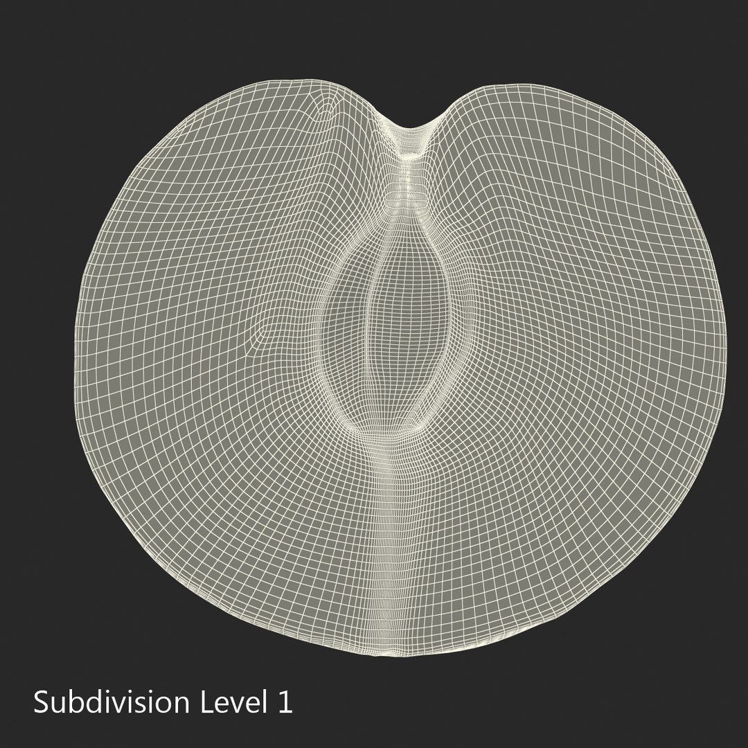 plum half 3 modeled 3d c4d https://p.turbosquid.com/ts-thumb/xI/EQ3lOt/yPbvb1bb/3dsmodelofplumcrosssection16/jpg/1435691237/1920x1080/fit_q87/83a1b2b8cac4dac7be6065f55d16d9a848a603f5/3dsmodelofplumcrosssection16.jpg