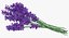Flowers in Vases Collection 2