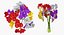 Flowers in Vases Collection 2