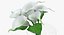 Flowers in Vases Collection 2