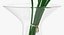Flowers in Vases Collection 2