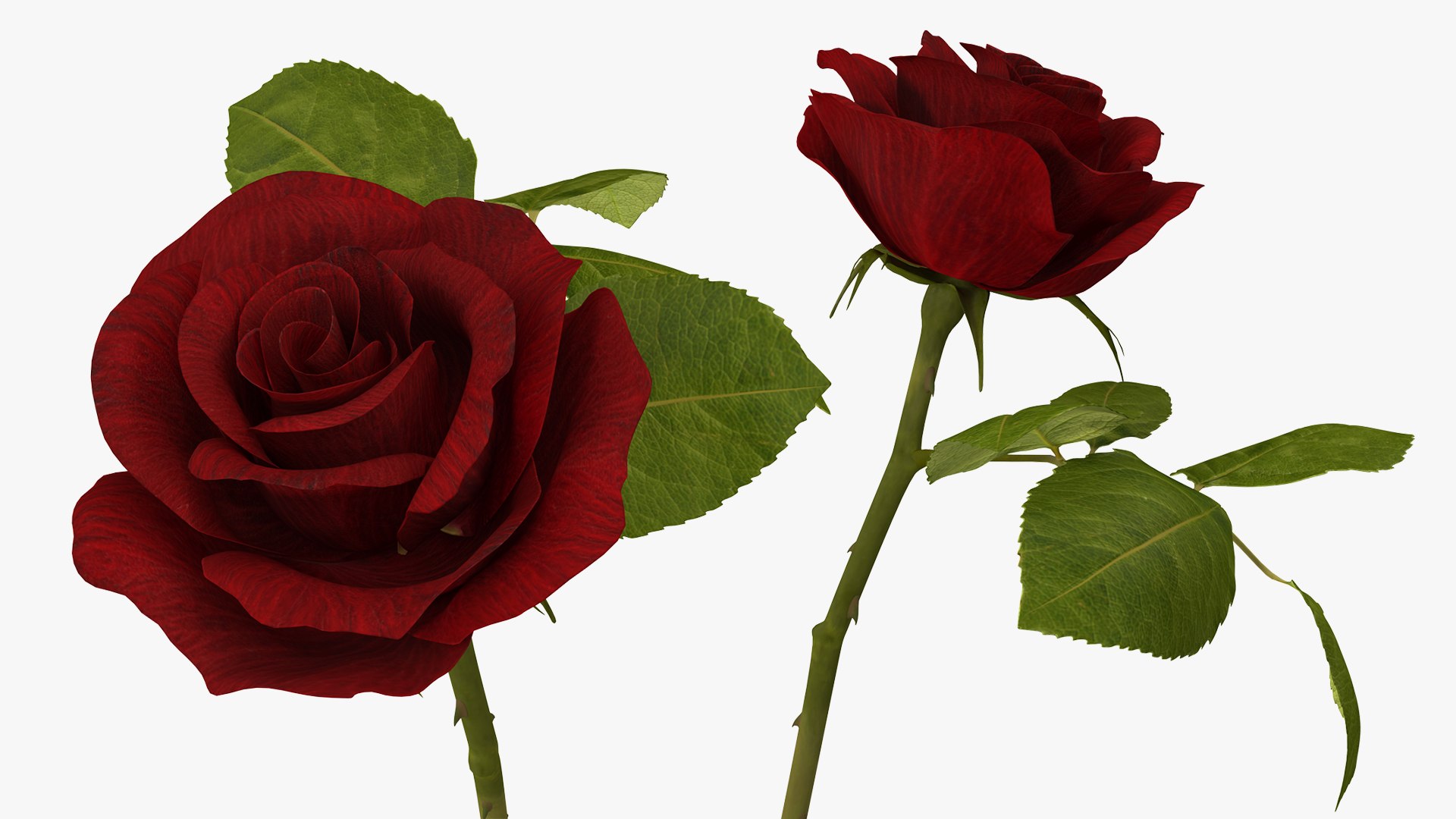 flowers vases 2 model https://p.turbosquid.com/ts-thumb/xI/Ot1QbO/8qLqj4vh/flowersinvasescollection23dsmodel008/jpg/1589469398/1920x1080/fit_q87/9e6333f4ac6509093dd2148c5a8229d33a694be8/flowersinvasescollection23dsmodel008.jpg