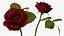 Flowers in Vases Collection 2