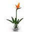 Flowers in Vases Collection 2