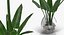 Flowers in Vases Collection 2
