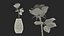 Flowers in Vases Collection 2