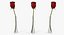 Flowers in Vases Collection 2