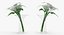 Flowers in Vases Collection 2