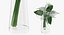 Flowers in Vases Collection 2